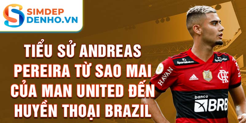 Tiểu sử andreas pereira từ sao mai của man united đến huyền thoại brazil