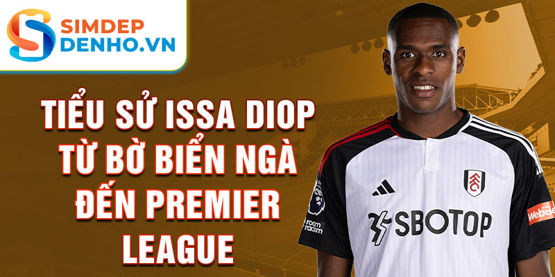 Tiểu sử Issa diop từ bờ biển ngà đến premier league