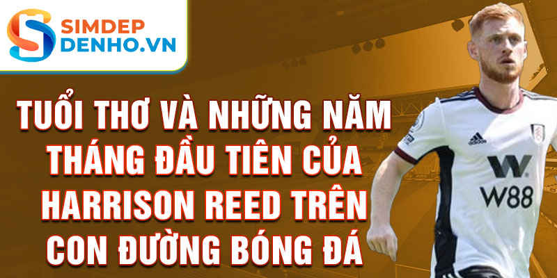 Tuổi thơ và những năm tháng đầu tiên của harrison reed trên con đường bóng đá