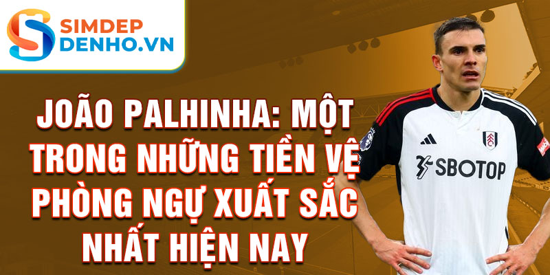 João Palhinha: Một trong những tiền vệ phòng ngự xuất sắc nhất hiện nay