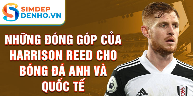 Những đóng góp của harrison reed cho bóng đá anh và quốc tế