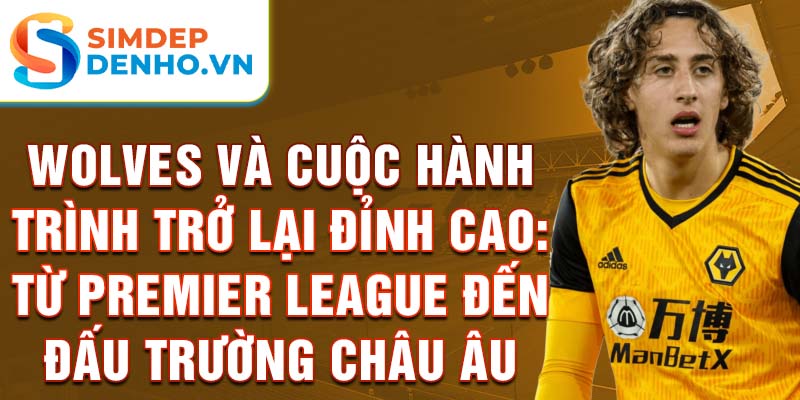 Wolves và cuộc hành trình trở lại đỉnh cao: Từ Premier League đến đấu trường châu Âu