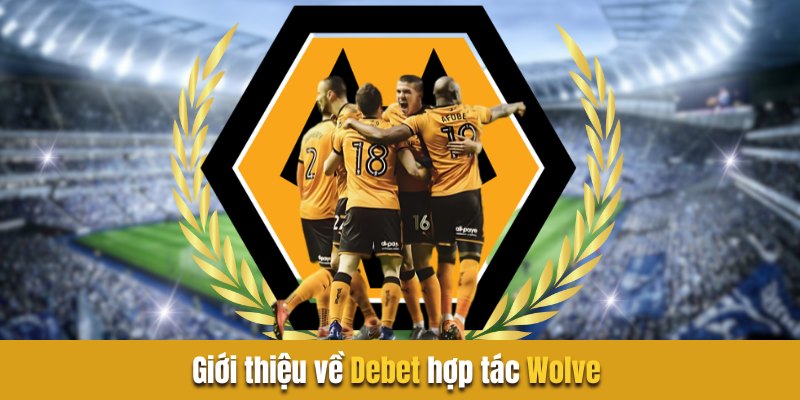 Giới thiệu về debet hợp tác wolves cơ bản