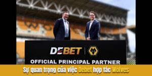 Sự quan trọng của việc chính thức debet hợp tác với wolves