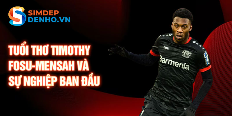 Tuổi thơ timothy fosu-mensah và sự nghiệp ban đầu