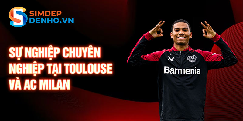 Sự nghiệp chuyên nghiệp tại Toulouse và AC Milan